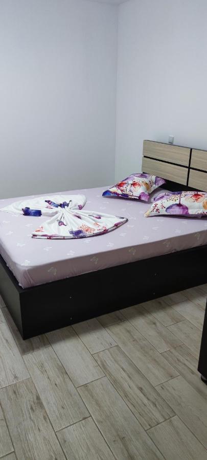 Vila Axel Costinesti Luaran gambar